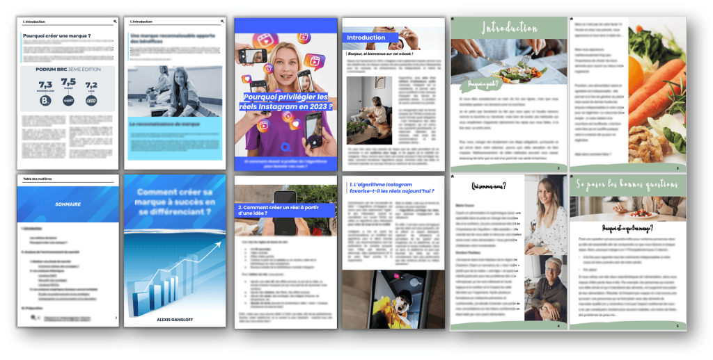 Montage de plusieurs exemples de pages d'ebooks professionnels sur des thèmes variés.